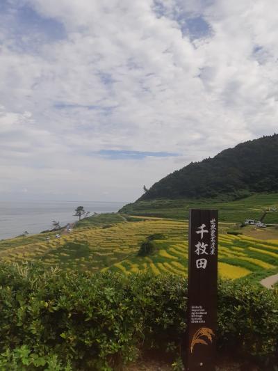 飛騨能登　ドライブ旅行　４日目　