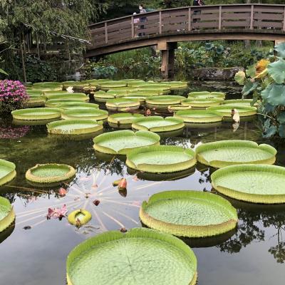 滋賀県の草津を車であちこち行ってみた