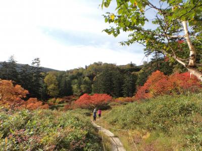 久しぶりの高原温泉沼巡り