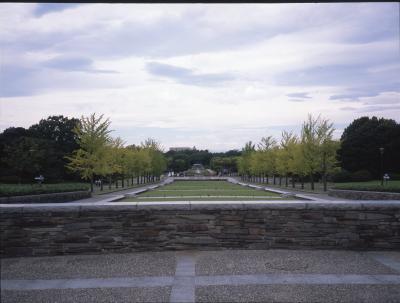 昭和記念公園へ。