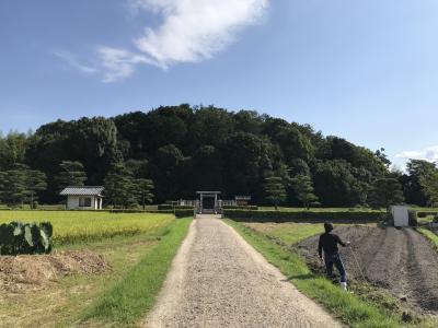 平城宮跡、古墳めぐり