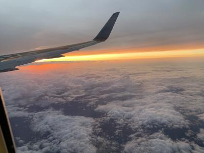 JAL 空たび　星空フライト