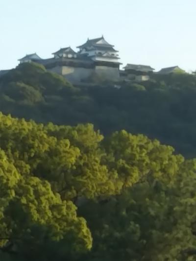 松山城を眺めてホテルステイ 松山市民が憩う城山公園に癒されて