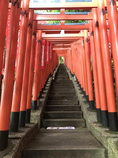 23年振りに神宮球場で応燕するぞ～お散歩編～