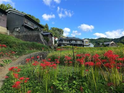 秋を探しに心の故郷、明日香村へ…