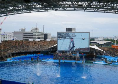 Go Toトラベル～甥っ子たちと名古屋へ　名古屋観光ホテル、名古屋港水族館（3）