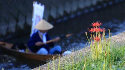 豊田 花見 に関する旅行記 ブログ フォートラベル 愛知県 豊田 花見 に関する旅行記 ブログ フォートラベル 愛知県