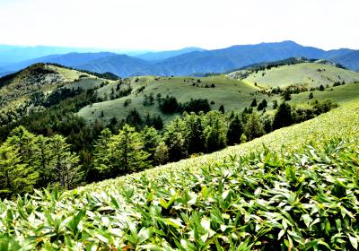 初秋の富士見台高原（１７３９ｍ）と阿木城