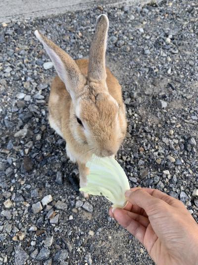 広島県 子連れ旅行 に関する旅行記 ブログ フォートラベル