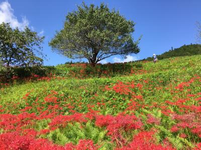 2020年9月　那須―白河
