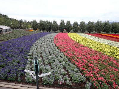 一足早い秋・・富良野・美瑛・トマムの旅♪富良野をドライブ。