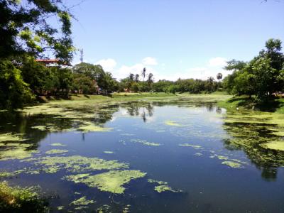 シェムリ百景…シェムリアップ川沿いをの～んびりぶらり散歩