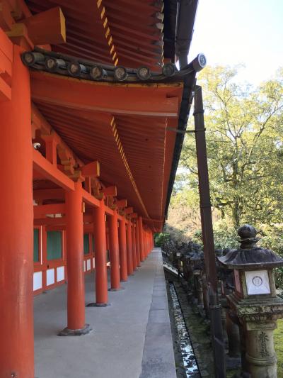 緊急事態宣言前の３月。1泊2日一人旅の奈良3:早朝の春日大社と水谷神社