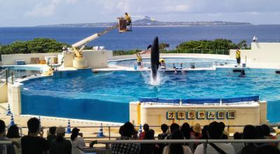 沖縄プチ観光【前編】～那覇市内／イルカショーが再開した美ら海水族館～