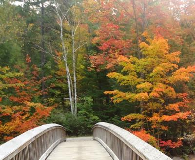ニューハンプシャー州 カンカマガス ハイウェイ　ー　アメリカでも紅葉の素晴らしいロッキー ゴージはまるで日本庭園