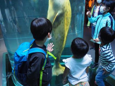 ３世代で GoTo 北海道　１日目（旅立ち・旭山動物園）