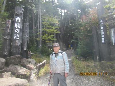 秋の蓼科・北八ケ岳登山