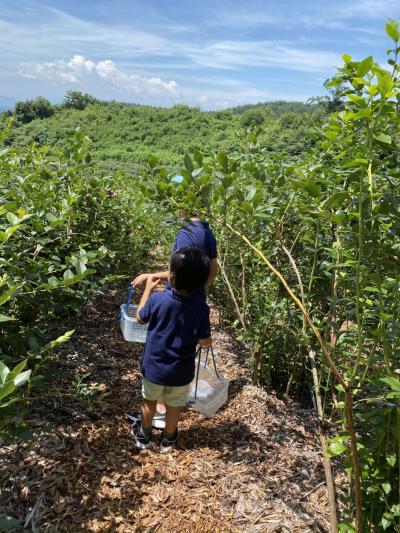 軽井沢　夏　2020 家族三代　3歳　8歳　子連れ旅行