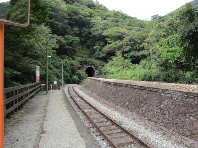 乗り鉄の自由研究　「海の見える映える駅」と「秘境駅のトンネル」