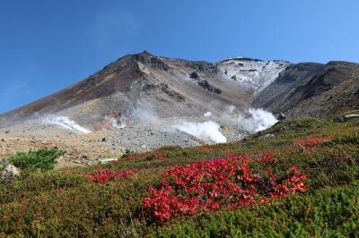 星のリゾート　トマムザ・タワーに泊まって雲海・紅葉・花めぐりをしてきました(２日目－１）