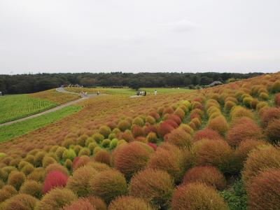 子連れで茨城県央～ひたち海浜公園と大洗（７歳＆４歳）