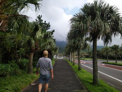 フェリーで八丈島へ、ヘリで大島へ