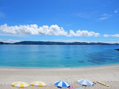 古座間味ビーチ　阿真ビーチ　ｼｭﾉｰｹﾘﾝｸﾞ「座間味ブルーに癒される♪ ぼっち旅…」