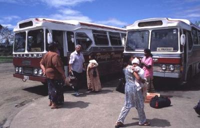 2002年 南太平洋島巡り-D（フィジー）  