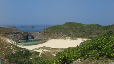 小笠原で海を満喫～ダイビングに南島、そして毎日ドルフィンスイム～　-2020小笠原　３-