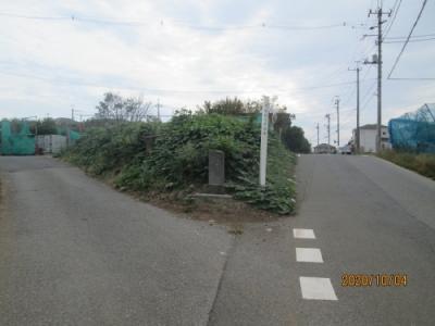 柏市の旧沼南町・箕輪・庚申塔・川獺の碑