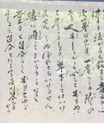 大徳寺 黄梅院 の青紅葉と石庭!