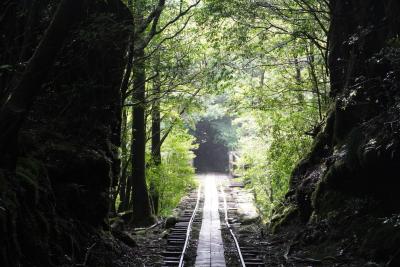 2020年9月旅　Go To 屋久島の旅（２日目縄文杉トレッキング～3日目屋久島ショッピング）