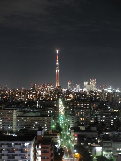 Hotel East 21 TOKYO ～ガーデンプール～