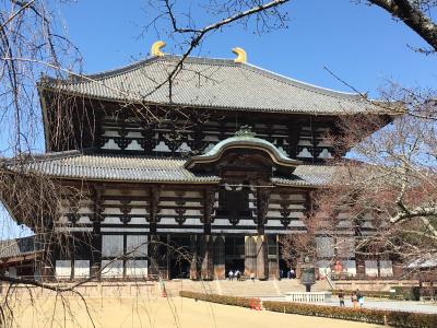 緊急事態宣言前の３月。1泊2日一人旅の奈良6：東大寺と興福寺と鹿
