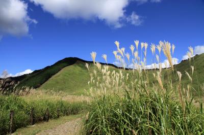 曽爾高原　すすき