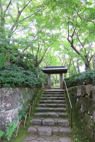 箱根・三島・沼津　２泊３日　美術館巡りを中心とした旅