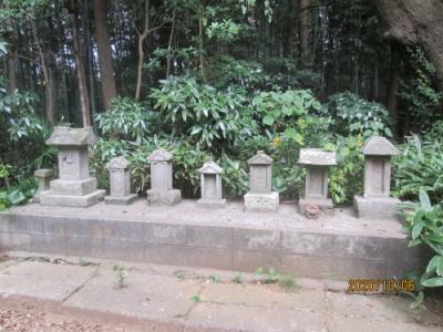 柏市の旧沼南町・大井・香取神社・石仏