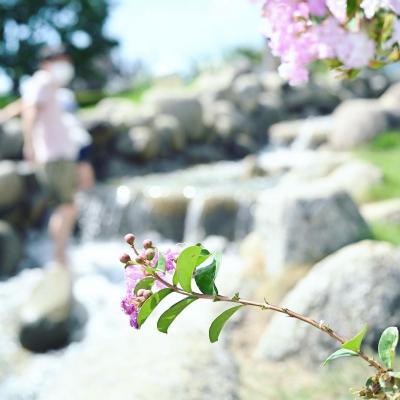 １歳１０ヶ月の子連れで山梨のフルーツ公園