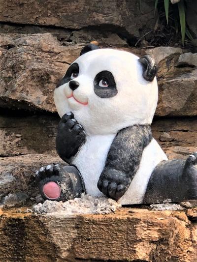 パンダを見に「長沙生態動物園」へ、行ってみると？。。。