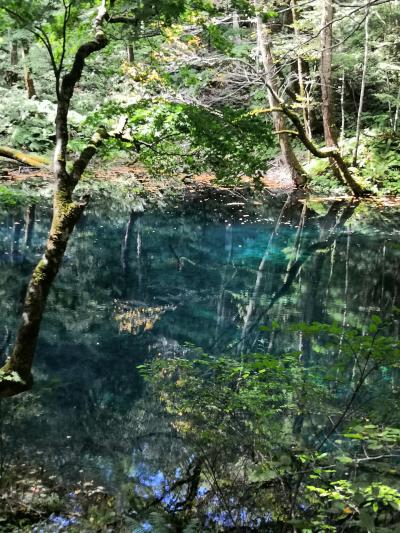 ☆5回目の大人の休日パスの旅　五能線☆ 2日目　不老不死温泉　青池　No2