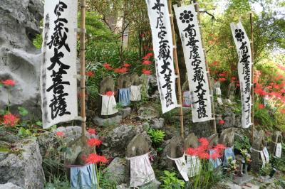 紅に燃ゆる♪　大垣市明星輪寺彼岸花＆海津市津屋川堤防彼岸花♪