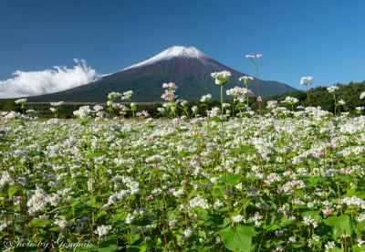 山中湖ロッジ滞在　9月編