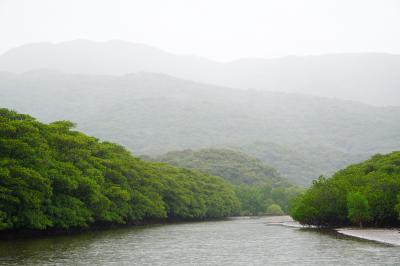 遅めの夏休みを石垣島で、やっぱり雨の八重山諸島三島めぐり