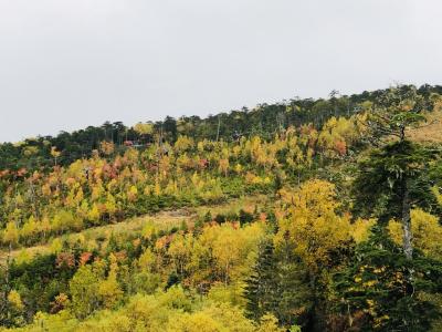 紅葉の濁河温泉