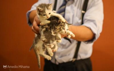 台風くるの？蔵王紅葉狩りドライブ②　猫多め