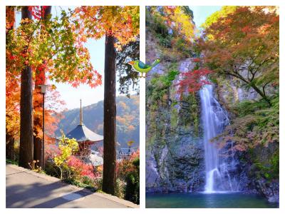 勝尾寺から箕面の滝まで 秋の箕面を満喫♪