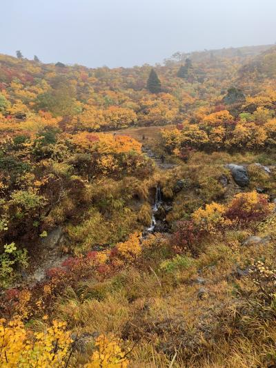 名峰　栗駒山に挑む