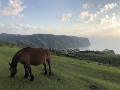 5・7歳児連れ、四連休で隠岐島旅行：島前編