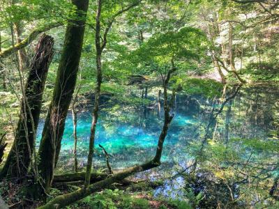 東北ぐるり９日間！４日め白神山地