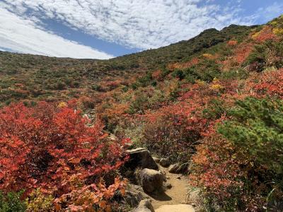 奥多摩探検隊、安達太良山の旅！《安達太良の紅葉と温泉三昧編》